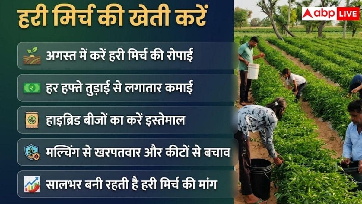 अगस्त में करें इन तीन सब्जियों की खेती, होगी मोटी कमाई