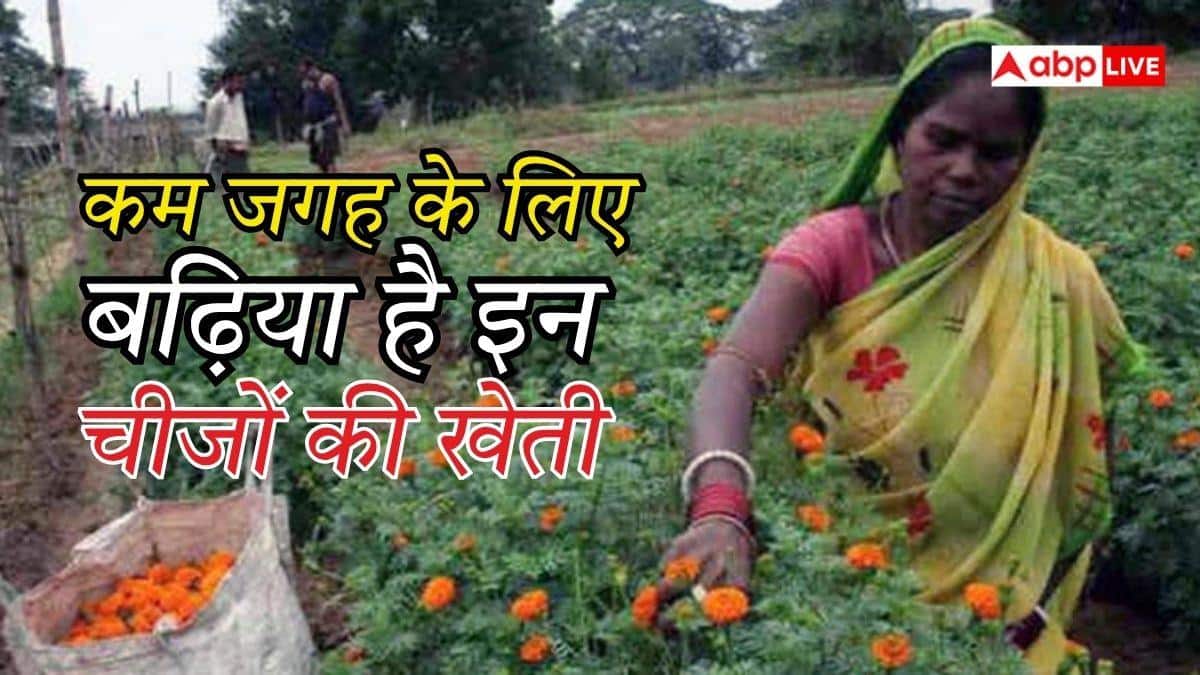 मसाले, औषधीय पौधे या फूल... कम जमीन में ज्यादा मुनाफा किसमें?