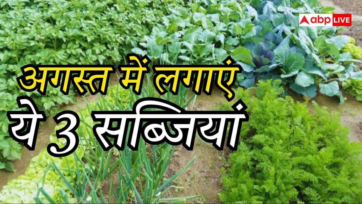 अगस्त में करें इन तीन सब्जियों की खेती, होगी मोटी कमाई