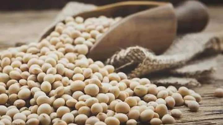 जेएस 95-60 को भी सोयाबीन की बेहतर किस्मों में गिना जाता है. यह कई कृषि क्षेत्रों में किसानों के बीच इस्तेमाल की जाती है. अच्छी जल निकासी वाली जमीन और संतुलित पोषण मिलने पर फसल बेहतर प्रदर्शन कर सकती है. किसान को बुवाई से पहले बीज की गुणवत्ता और खेत की तैयारी पर खास ध्यान देना चाहिए.