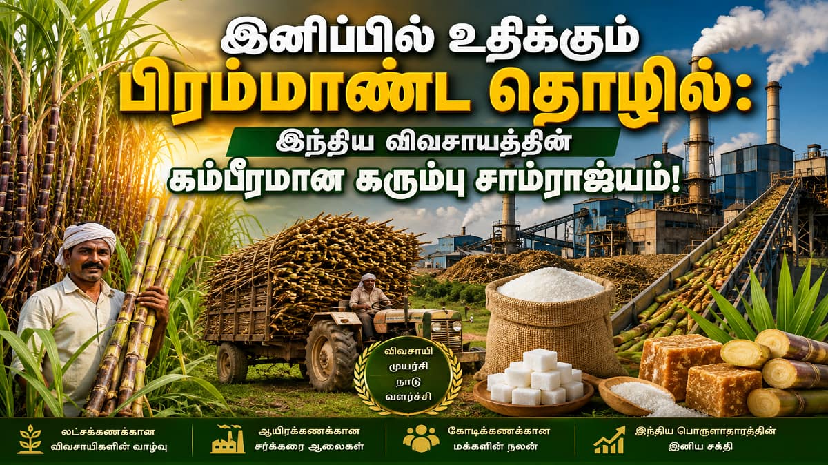 இனிப்பில் உதிக்கும் பிரம்மாண்ட தொழில்: இந்திய விவசாயத்தின் கம்பீரமான கரும்பு சாம்ராஜ்யம்!