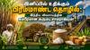 இனிப்பில் உதிக்கும் பிரம்மாண்ட தொழில்: இந்திய விவசாயத்தின் கம்பீரமான கரும்பு சாம்ராஜ்யம்!