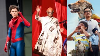 Saturday Box Office Collection: Spider-Man Brand New Day Dominates, GDN Struggles, Ohh My Dog Rises