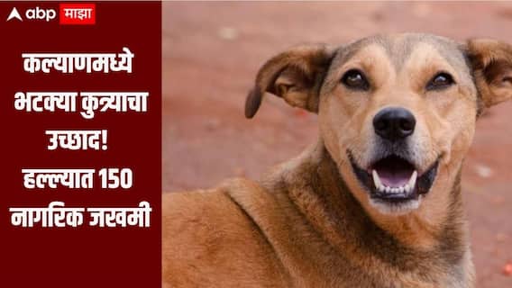 एकाच भटक्या कुत्र्याचा उच्छाद, हल्ल्यात 150 नागरिक जखमी, कल्याणच्या खडकपाडा परिसरात थरार