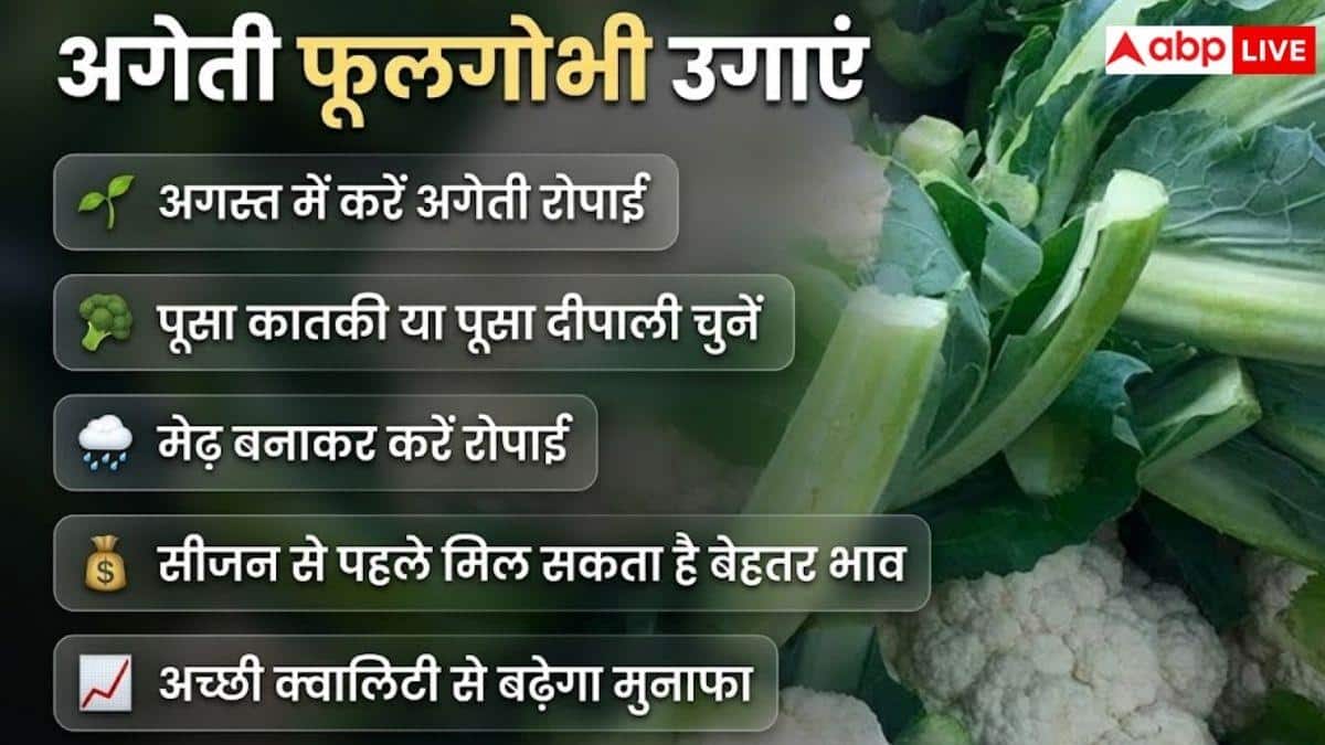 अगस्त में करें इन तीन सब्जियों की खेती, होगी मोटी कमाई