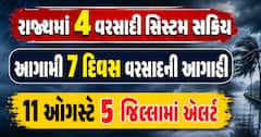 રાજ્યમાં 4 વરસાદી સિસ્ટમ સક્રિય: આગામી 7 દિવસ વરસાદની આગાહી, 11 ઓગસ્ટે 5 જિલ્લામાં એલર્ટ