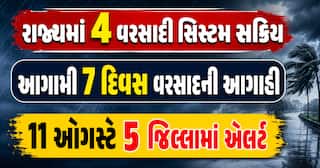 રાજ્યમાં 4 વરસાદી સિસ્ટમ સક્રિય: આગામી 7 દિવસ વરસાદની આગાહી, 11 ઓગસ્ટે 5 જિલ્લામાં એલર્ટ