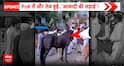 Pakistan-Occupied Kashmir: Protests Intensify in PoK as Demonstrators Target Pakistan Government