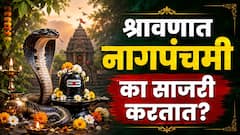 श्रावणात नागपंचमी का साजरी करतात? नागदेवतेची पूजा करण्यामागची कथा नेमकी काय? वाचा A to Z माहिती