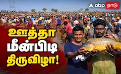 காரைக்குடி: 3 ஆண்டுகளுக்குப் பிறகு ஊத்தா மீன்பிடி திருவிழா.. மீன்கள் குவிந்ததால் மக்கள் கொண்டாட்டம்!