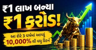શેરબજારનો કમાલ: 1 લાખનું રોકાણ કરનારા બન્યા કરોડપતિ, આપ્યું 10,000% નું બમ્પર રિટર્ન