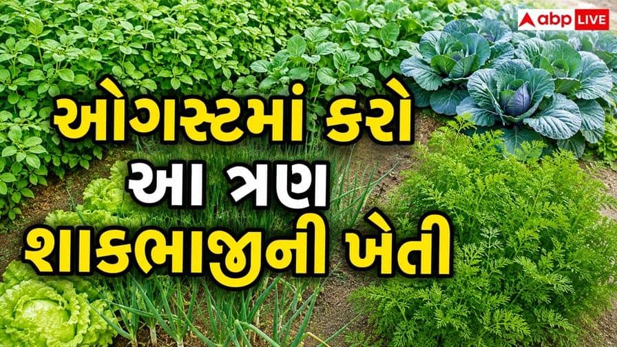ઓગસ્ટમાં આ ત્રણ શાકભાજીની ખેતી કરી જબરદસ્ત નફો મેળવો