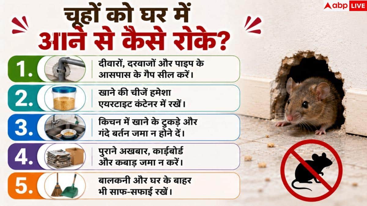 Prevent Rats At Home: चूहों के आतंक से पाना है छुटकारा? बिना जहर अपनाएं यह सीक्रेट ट्रिक