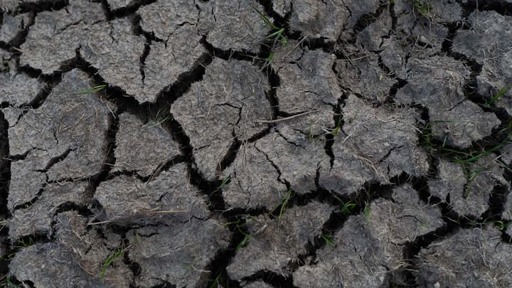 बंजर जमीन को हमेशा के लिए उपजाऊ बनाए रखने के लिए सिर्फ एक बार की मेहनत काफी नहीं होती. किसानों को समय-समय पर गोबर की खाद, कंपोस्ट खाद और जरूरत के मुताबिक हरी खाद वाली फसलों का इस्तेमाल करते रहना चाहिए. साथ ही मिट्टी की जांच भी हर एक-दो साल में करवाते रहना चाहिए, ताकि यह पता चलता रहे कि जमीन में किन पोषक तत्वों की जरूरत है.