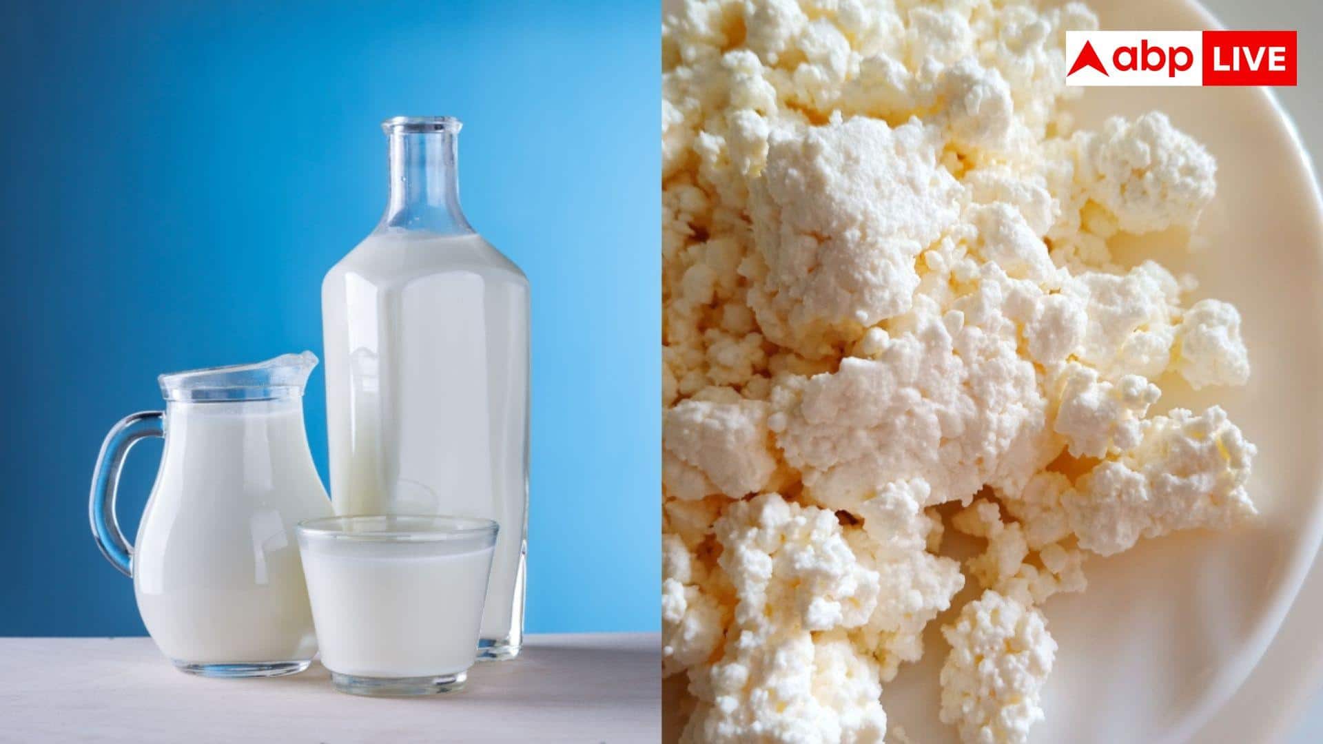Milk to Curd Business: 100 लीटर दूध से कितना दही जमाकर कितना मुनाफा कमाते हैं डेयरी वाले?