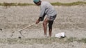 How to Improve Barren Land: बंजर जमीन को हरा भरा बना देंगी ये फसल, ऐसे करें बुवाई