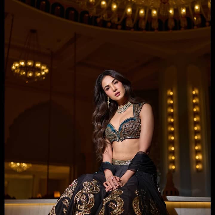 આ ફોટામાં સોનલ ચૌહાણ તેના પરફેક્ટ ટોન્ડ ફિગરને ફ્લોન્ટ કરતી જોવા મળી રહી છે.
