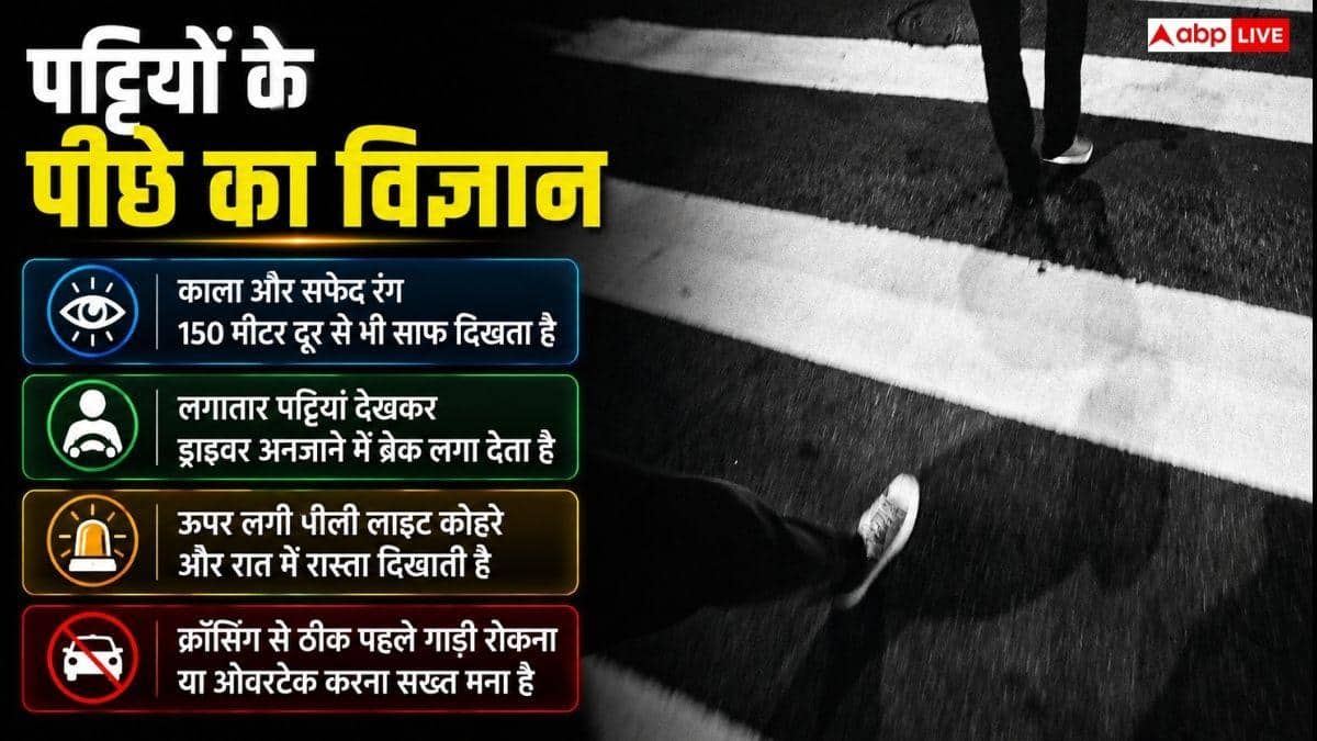 सड़क क्रॉस करने वाली पट्टी को जेब्रा क्रॉसिंग ही क्यों कहा जाता है, कैसे पड़ा यह नाम?
