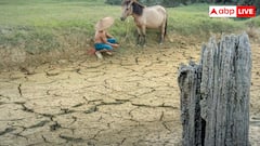 How to Improve Barren Land: बंजर जमीन को हरा भरा बना देंगी ये फसल, ऐसे करें बुवाई