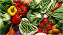 Healthy Ageing Foods : వృద్ధాప్య ప్రక్రియను నెమ్మదింపజేసే ఫుడ్స్ ఇవే.. యవ్వనంగా ఉండాలంటే తినేయండి