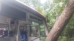Raigad Accident News: चालकांचे नियंत्रण सुटले अन् रायगडमध्ये दोन एसटीचा भीषण अपघात, एक झाडावर आदळली, दुसरी रस्त्याच्या कडेला घसरली, PHOTO