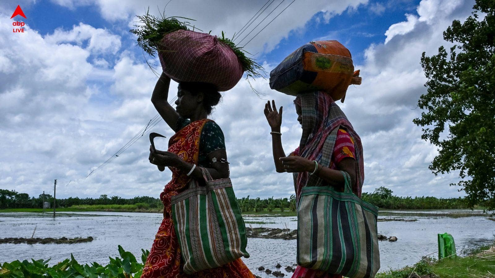 Weather Update: কয়েক ঘণ্টার মধ্যেই ঝোড়ো হাওয়ার সঙ্গে বৃষ্টি ? আজ দুই ২৪ পরগনা,হাওড়া-সহ দক্ষিণবঙ্গের ৮ জেলায় প্রবল দুর্যোগের আশঙ্কা