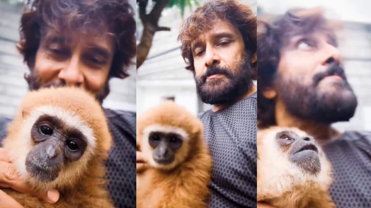 Chiyaan Vikram Posts Reel With Exotic Monkey, Deletes It After Enquiry Into Its Possession Begins