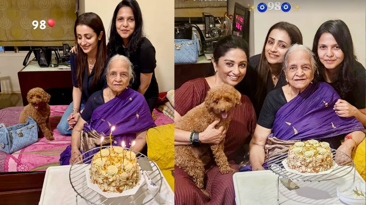 ‘Drama At This Age…’: Trisha Krishnan Shares Cryptic Post After Vijay’s Wife Withdraws Divorce Plea; Udhayanidhi Stalin’s Remark