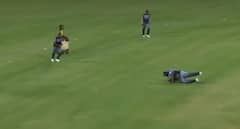 Watch: 140kg Cricketer Takes Jaw-Dropping Diving Catch, Video Goes Viral