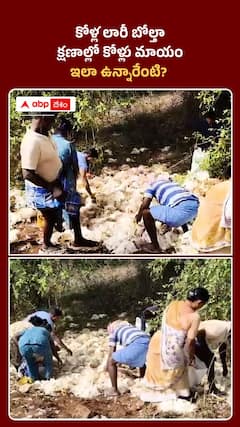 కోళ్ల లారీ బోల్తా క్షణాల్లో కోళ్లు మాయం ఇలా ఉన్నారేంటి?