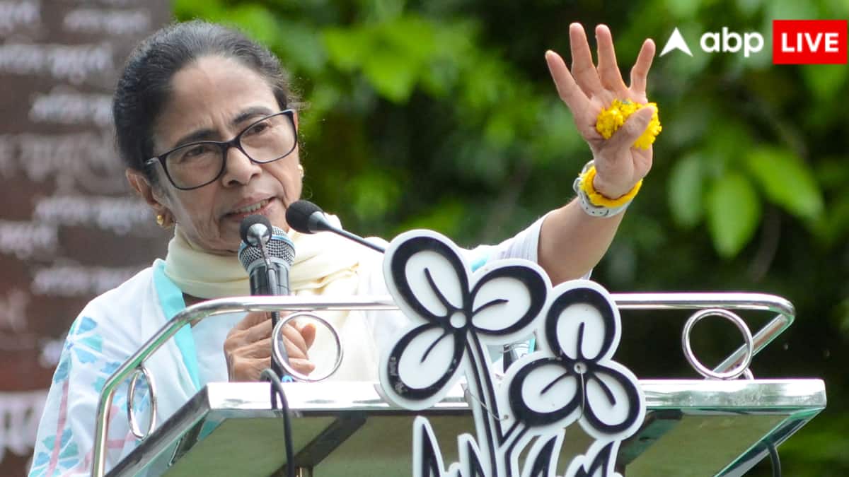 हमले को लेकर ममता बनर्जी का आया पहला रिएक्शन, कहा - 'मेरे सीने में...'