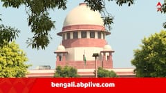 SIR ট্রাইবুনালে কত আবেদনের নিষ্পত্তি? ট্রাইব্য়ুনালের গতি নিয়ে কড়া মন্তব্য় সুপ্রিম কোর্টের