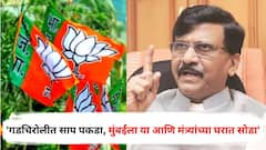 भाजपने कसला विकास केला, नक्षलवाद संपवला तो उद्योगपतींसाठी; संजय राऊतांचा हल्लाबोल