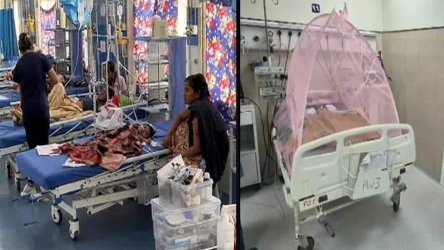 ગુજરાતમાં ચાંદીપુરા વાયરસનો કહેર