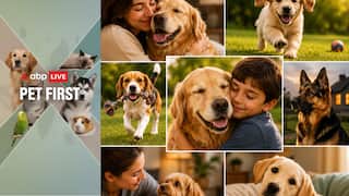 Pet First | 7 Adorable Dog Traits That Make Them Impossible To Resist