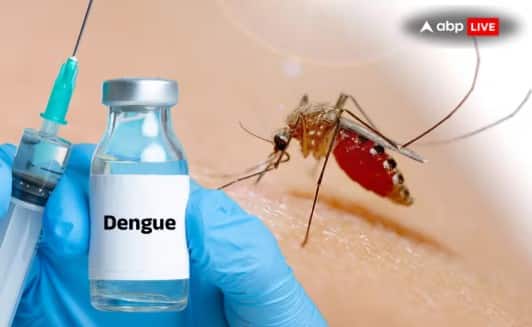 આ ઉપરાંત ઊલટી કે મળમાં લોહી, ખૂબ વધારે તરસ લાગવી, ચામડી ફિક્કી અને અતિશય નબળાઈ જેવા લક્ષણો ગંભીર ડેન્ગ્યુના સંકેત હોઈ શકે છે. આવા લક્ષણો જોવા મળે તો પ્લેટલેટ્સનો આંકડો ગમે તે હોય, તાત્કાલિક તબીબી સારવાર લેવી જરૂરી છે.