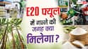 Xप्लेन: चीनी महंगी होने पर गन्ना नहीं, तो किससे बनेगा E20 पेट्रोल? समझें इंजन पर असर का पूरा गणित