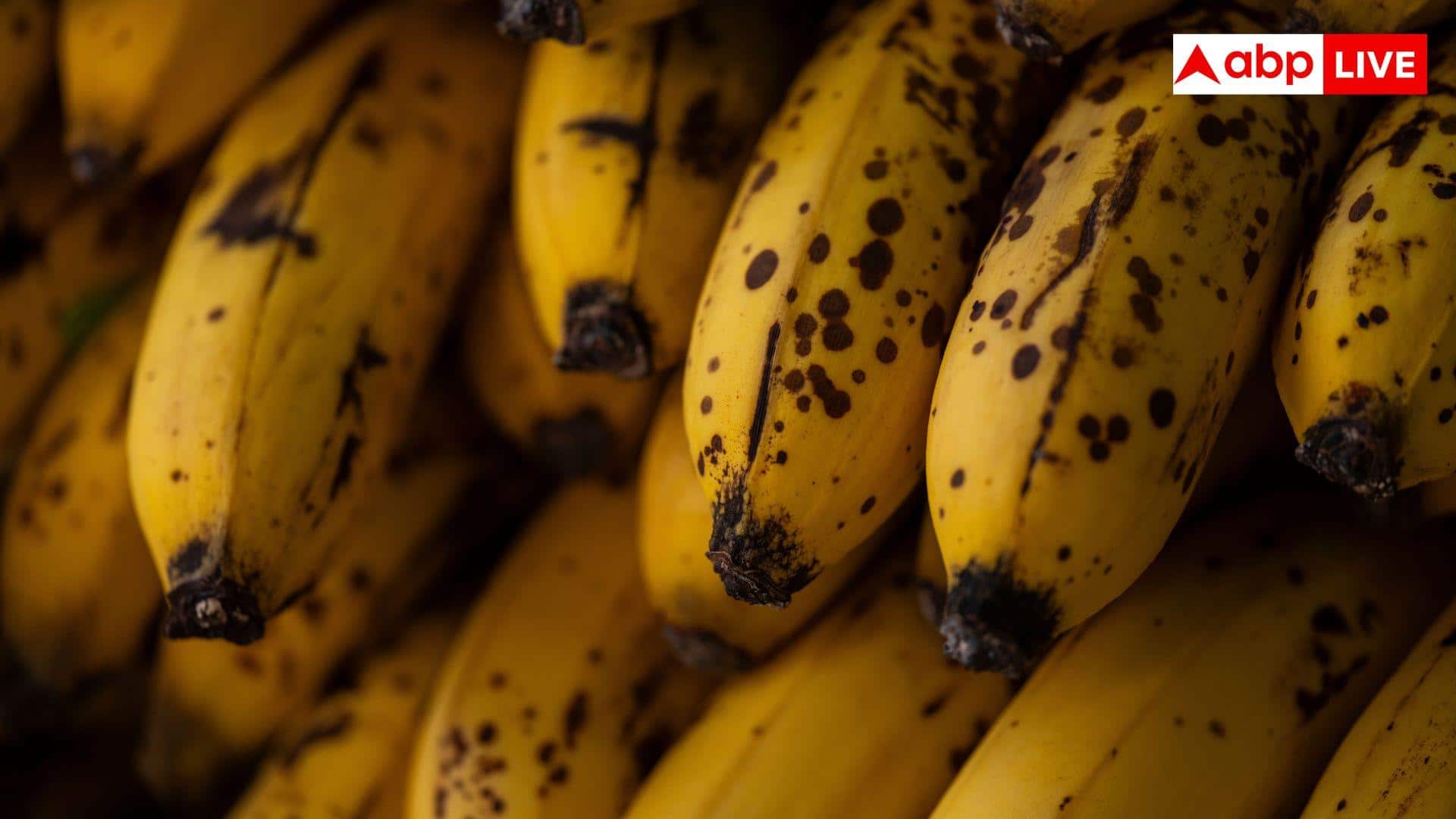 Overripe Banana Recipes: केले ज्यादा पक गए? फेंकने के बजाय बनाएं ये रेसिपी