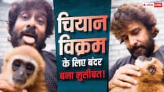 बंदर के साथ मस्ती चियान विक्रम को पड़ी भारी, वन विभाग ने शुरू की जांच, डिलीट किया Video