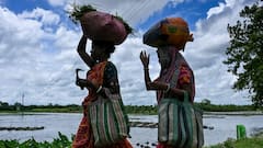 Weather Update: কমলা সতর্কতা জারি, আজ ভারী থেকে অতি ভারী বৃষ্টিপাতের পূর্বাভাস দক্ষিণবঙ্গের এই জেলাগুলিতে