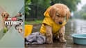 Pet First | Tips To Keep Your Fur Baby’s Paws Clean After Walks In Mud And Rain
