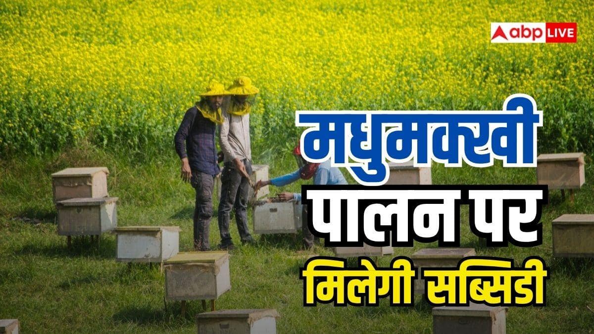 मधुमक्खी पालन के लिए सरकार दे रही मदद, ऐसे करें आवेदन