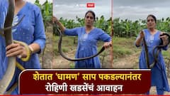 राष्ट्रवादीच्या महिला नेत्याचा वेगळाच अंदाज; शेतात 'धामण' साप पकडल्यानंतर रोहिणी खडसेंचं आवाहन