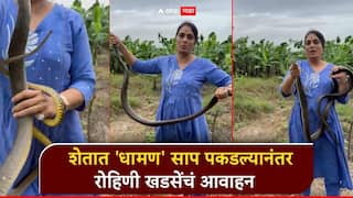 राष्ट्रवादीच्या महिला नेत्याचा वेगळाच अंदाज; शेतात 'धामण' साप पकडल्यानंतर रोहिणी खडसेंचं आवाहन