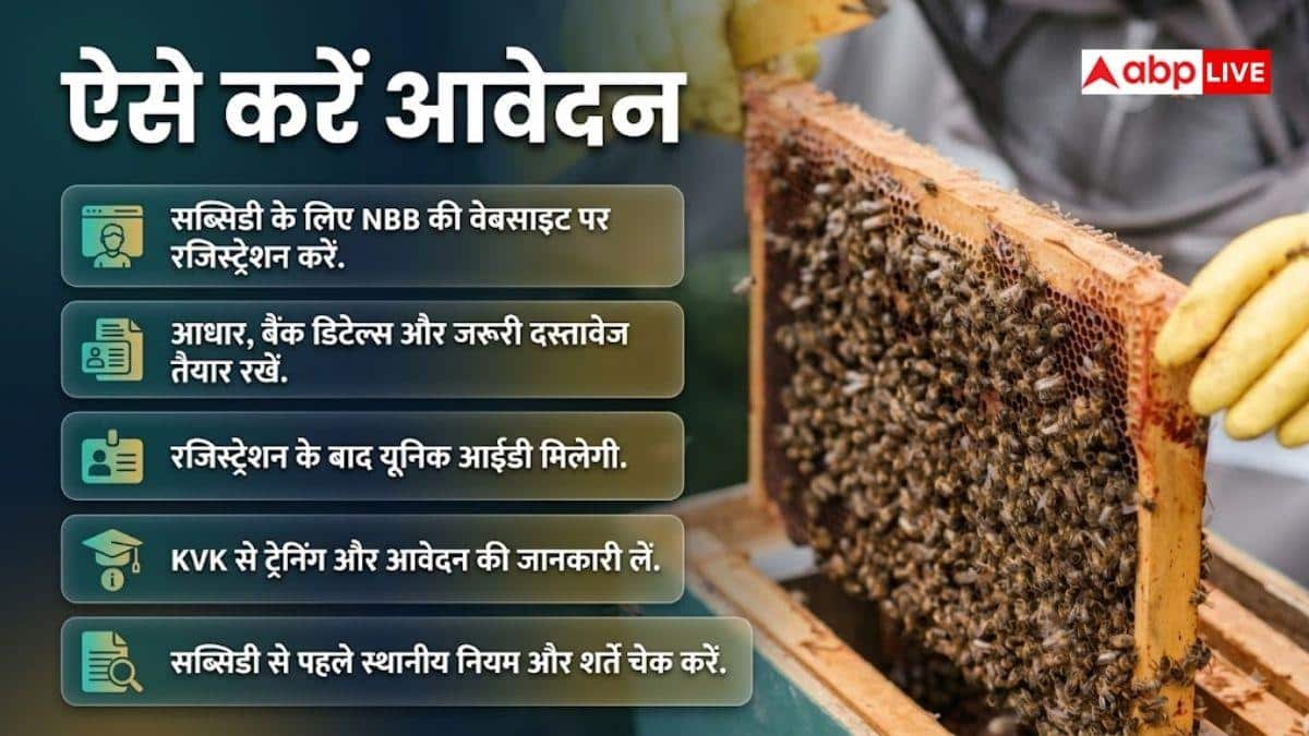 मधुमक्खी पालन के लिए सरकार दे रही मदद, ऐसे करें आवेदन