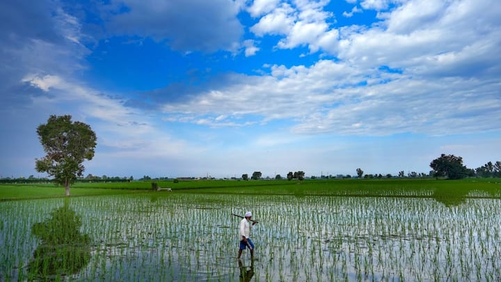 গত কয়েকদিনের বৃষ্টিতে বিপর্যস্ত অবস্থা জেলায় জেলায়। কলকাতা, পাশ্ববর্তী জেলা, বীরভূম, বাঁকুড়ায় জল জমে চরম ভোগান্তি।