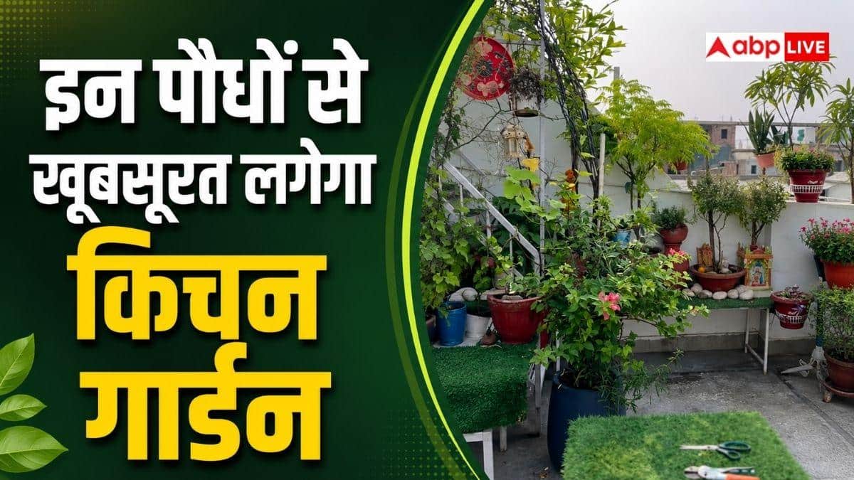 मानसून में इन पौधों से सजाएं किचन गार्डन, दिखेगा शानदार