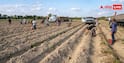Indian Agriculture After Independence: आजादी के बाद भारतीय खेती कितनी बदली? देखें पूरा सफर