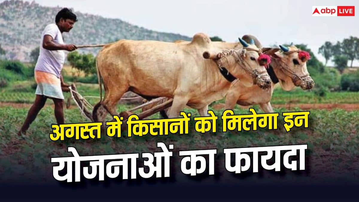 15 अगस्त के बाद किसानों के लिए कौन-सी योजनाएं आएंगी? जानें हर अपडेट