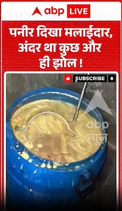 Viral Video : पनीर दिखा मलाईदार, अंदर था कुछ और ही झोल!